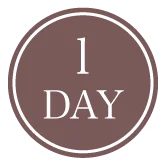 1DAY