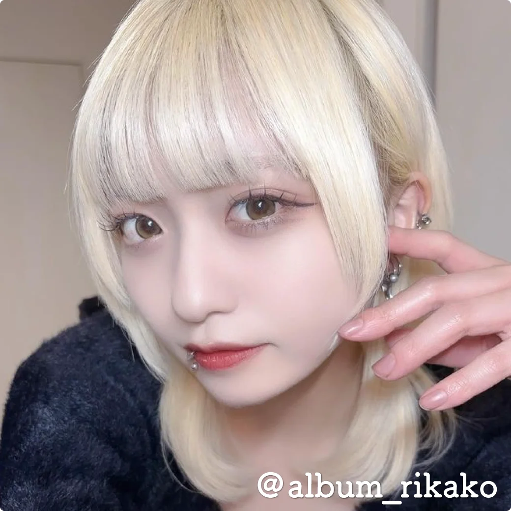 ツイントブラウンモデル