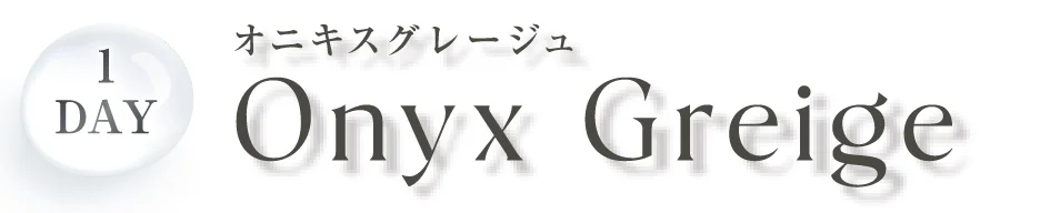 1DAY オニキスグレージュ