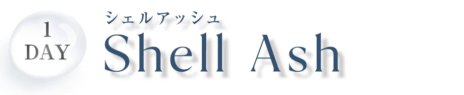 1DAY シェルアッシュ