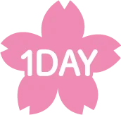 1DAY