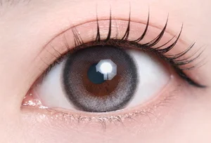 ナイトグレー_スタッフ