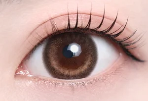 チルブラウン_スタッフ