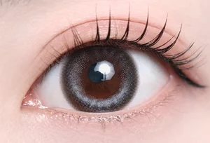 チルグレー_スタッフ