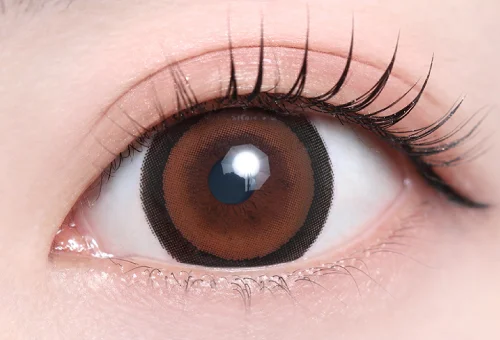 シェルミーブラウン