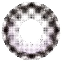 チュレアラベンダー_レンズ
