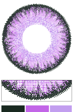 1DAY高発色タイプカラコン「Saturn Violet（サターンバイオレット）」のレンズデザイン｜カラコン ワンデー