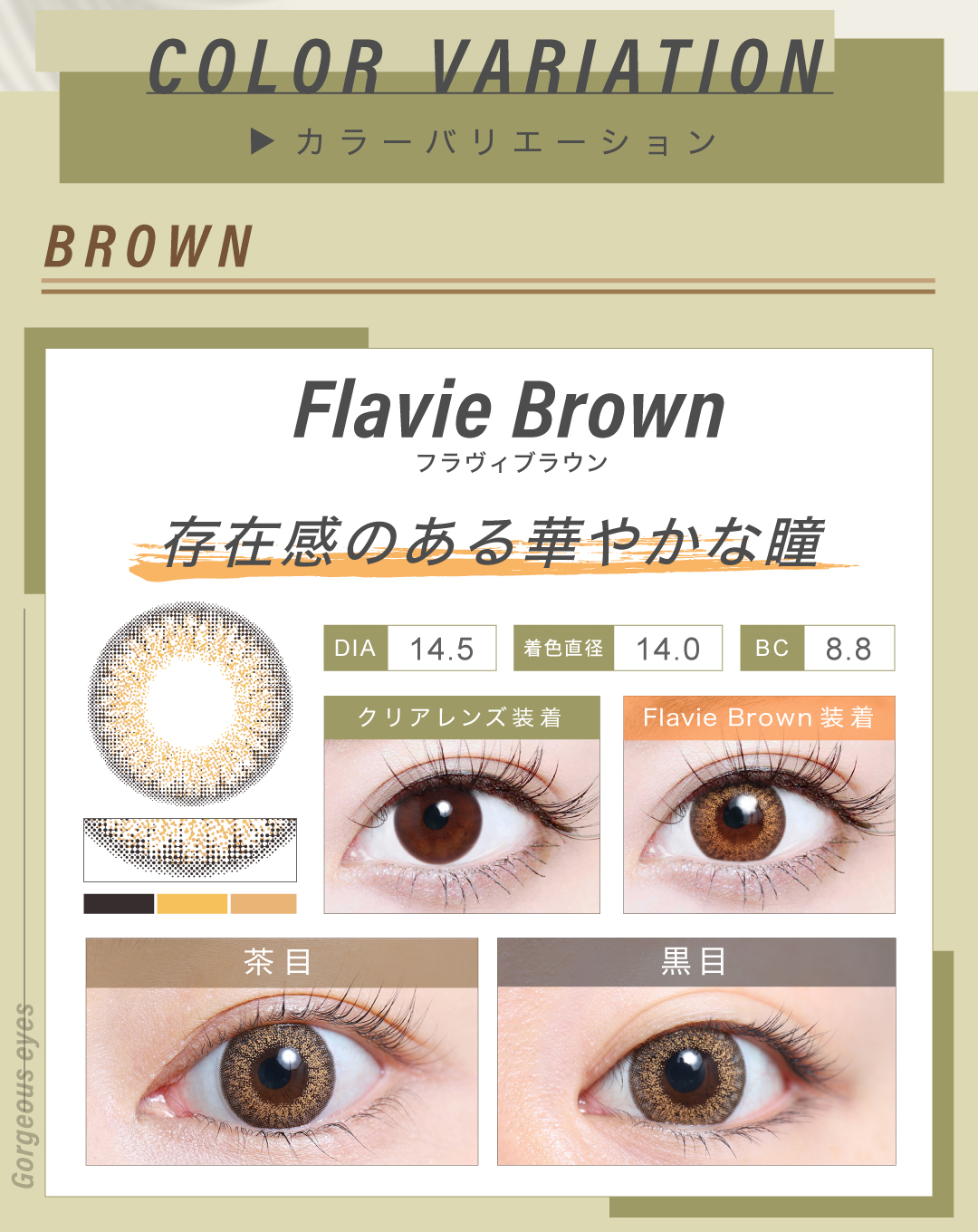 1DAYデカ目タイプ「Flavie Brown（フラヴィブラウン）」の紹介
