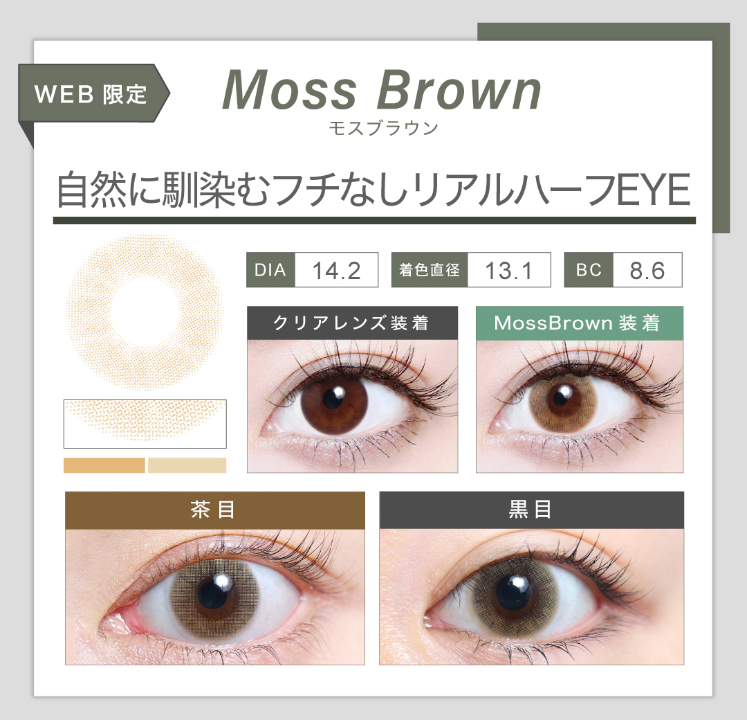 1DAYハーフタイプ「Moss Brown（モスブラウン）」の紹介