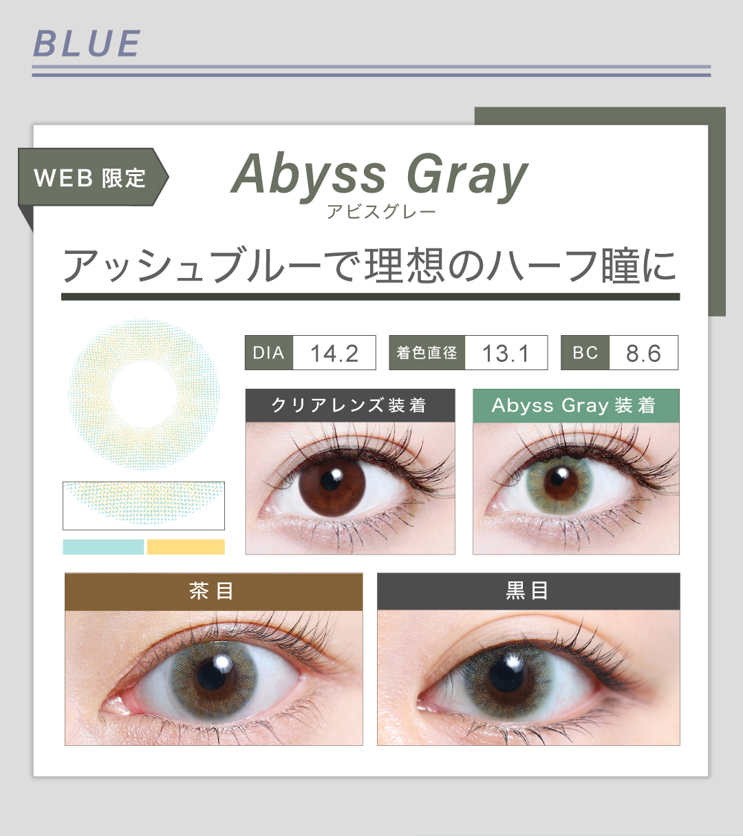 1DAYハーフタイプ「Abyss Gray（アビスグレー）」の紹介