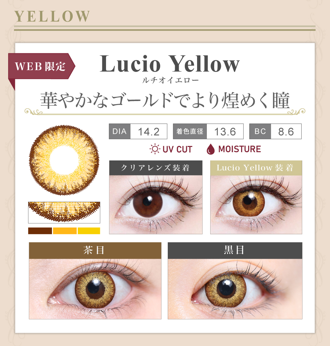 1DAY高発色タイプ「Lucio Yellow（ルチオイエロー）」の紹介