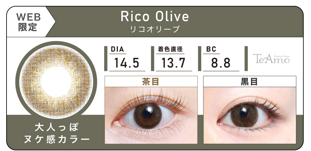 1DAY 4箱まとめ買い「Rico Olive（リコオリーブ）」の紹介｜カラコン ワンデー