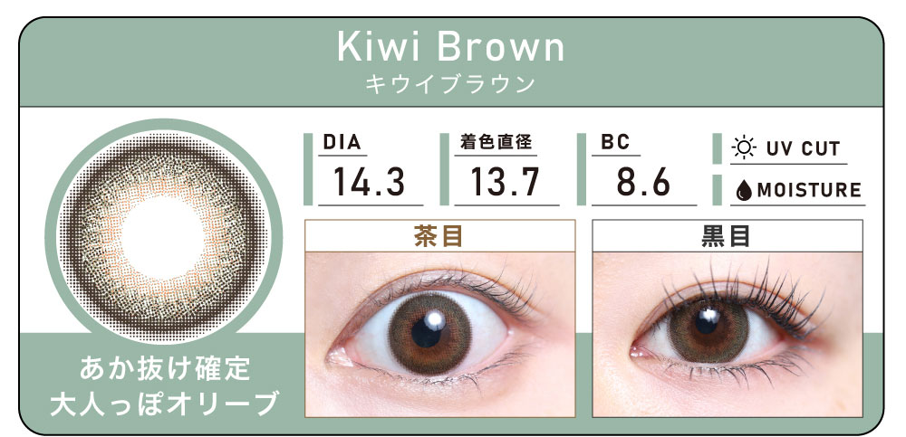 1DAY 2箱まとめ買い「Kiwi Brown（キウイブラウン）」の紹介｜カラコン ワンデー