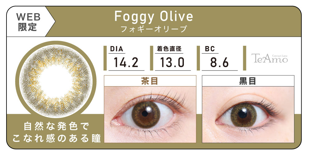 1DAY 4箱まとめ買い「Foggy Olive（フォギーオリーブ）」の紹介｜カラコン ワンデー