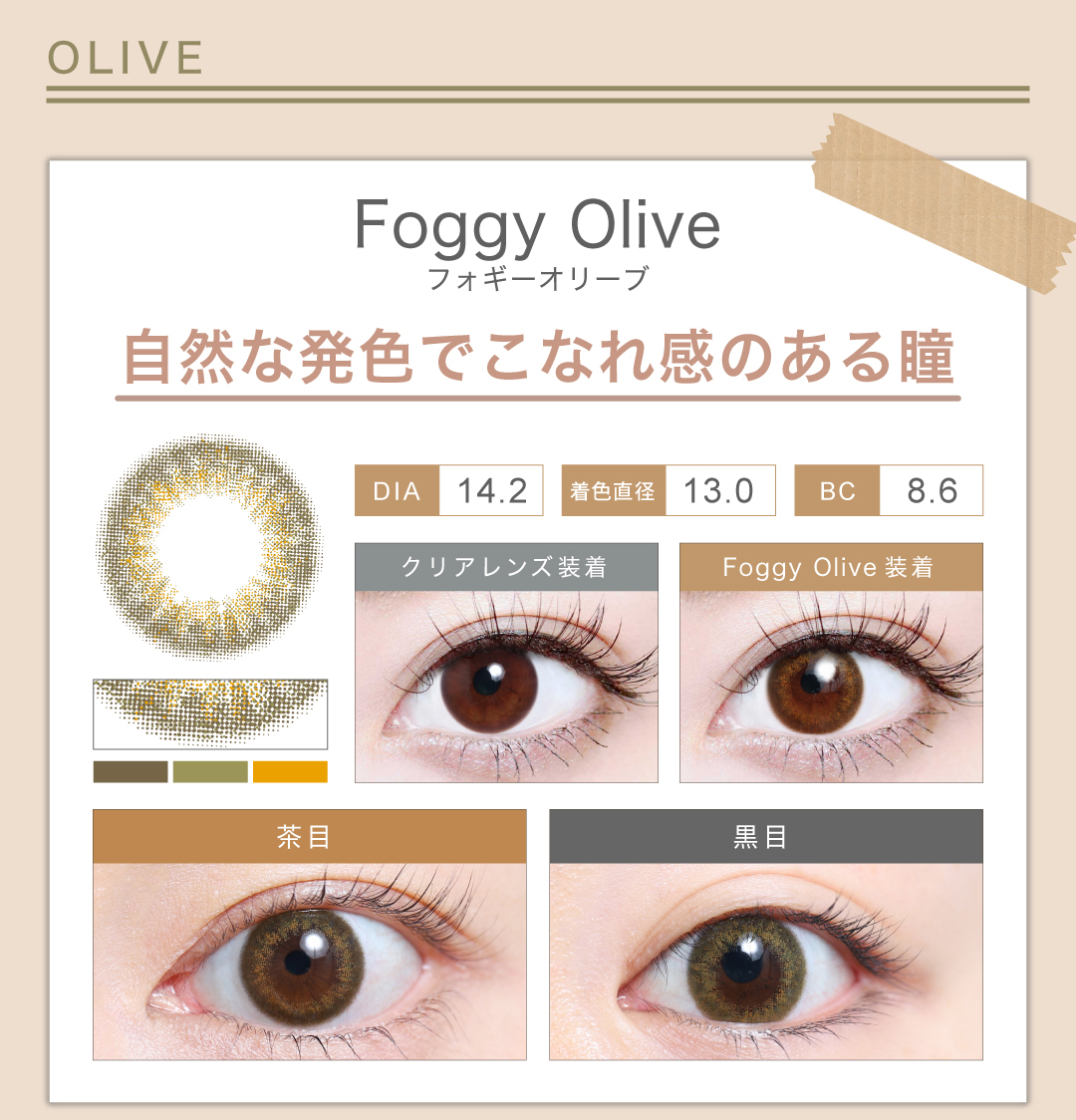 1DAYナチュラルハーフタイプ「Foggy Olive（フォギーオリーブ）」の紹介