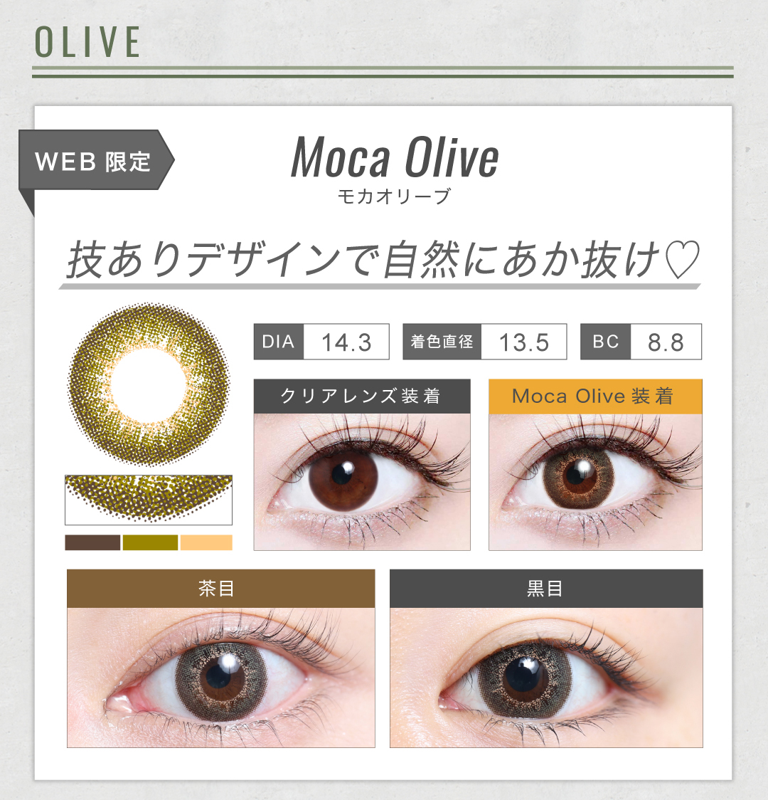 1MONTHハーフタイプ「Moca Olive（モカオリーブ）」の紹介