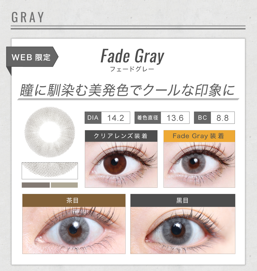1MONTHハーフタイプ「Fade Gray（フェードグレー）」の紹介