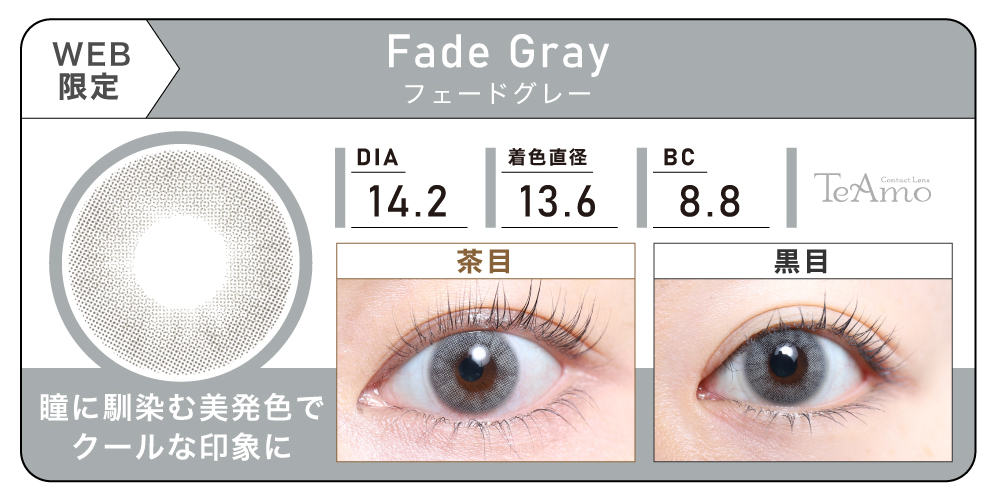 1MONTH 2SETまとめ買い「Fade Gray（フェードグレー）」の紹介｜カラコン 激安