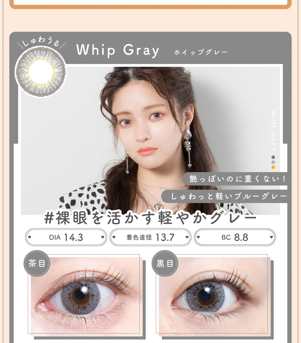 Whip Gray（ホイップグレー）紹介｜カラコン 激安