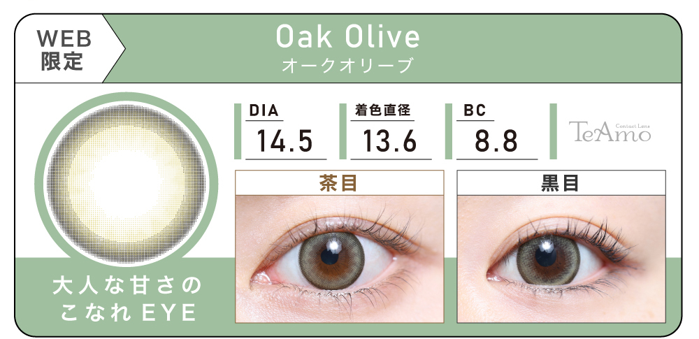 1DAY 2箱まとめ買い「Oak Olive（オークオリーブ）」の紹介｜カラコン ワンデー