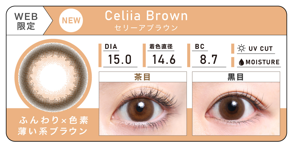 1DAY 2箱まとめ買い「Celiia Brown（セリーアブラウン）」の紹介｜カラコン ワンデー