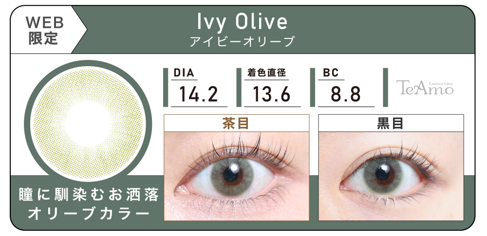 1MONTH 2SETまとめ買い「Ivy Olive（アイビーオリーブ）」の紹介｜カラコン 激安