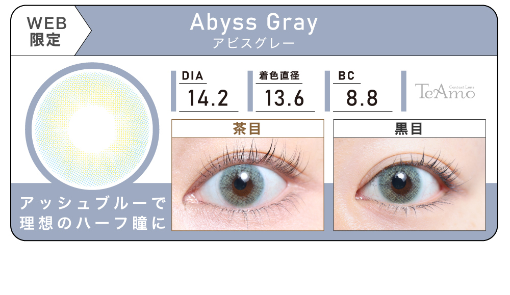 1MONTH 2SETまとめ買い「Abyss Gray（アビスグレー）」の紹介｜カラコン 激安