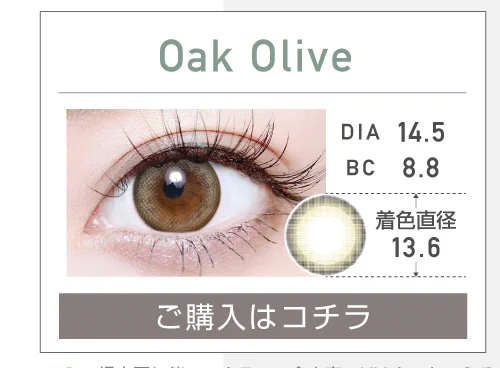 1DAYナチュラルハーフタイプカラコン「Oak Olive オークオリーブ」の購入ボタン