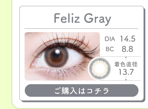 1MONTHナチュラルハーフタイプカラコン「Feliz Gray（フェリスグレー）」の購入ボタン