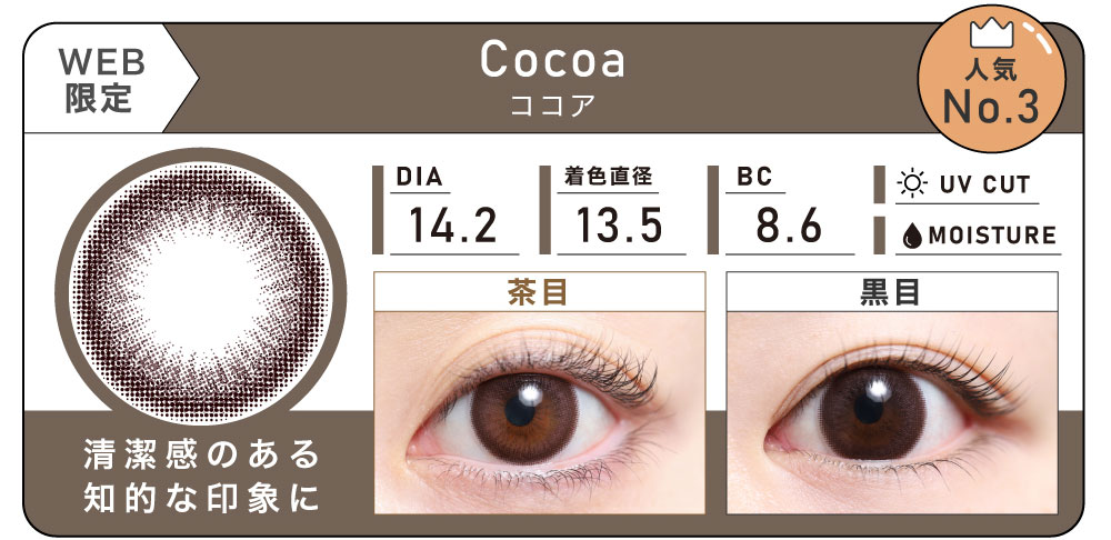 1DAY 4箱まとめ買い「Cocoa（ココア）」の紹介｜カラコン ワンデー