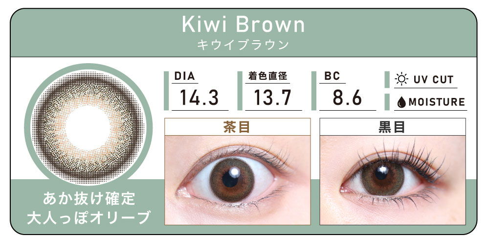 1DAY 2箱まとめ買い「Kiwi Brown（キウイブラウン）」の紹介｜カラコン ワンデー