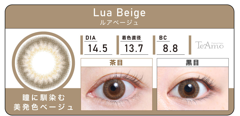 1DAY 6箱まとめ買い「Lua Beige（ルアベージュ）」の紹介｜カラコン ワンデー