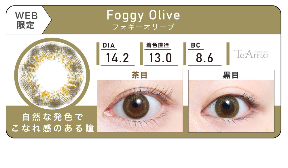 1DAY 4箱まとめ買い「Foggy Olive（フォギーオリーブ）」の紹介｜カラコン ワンデー