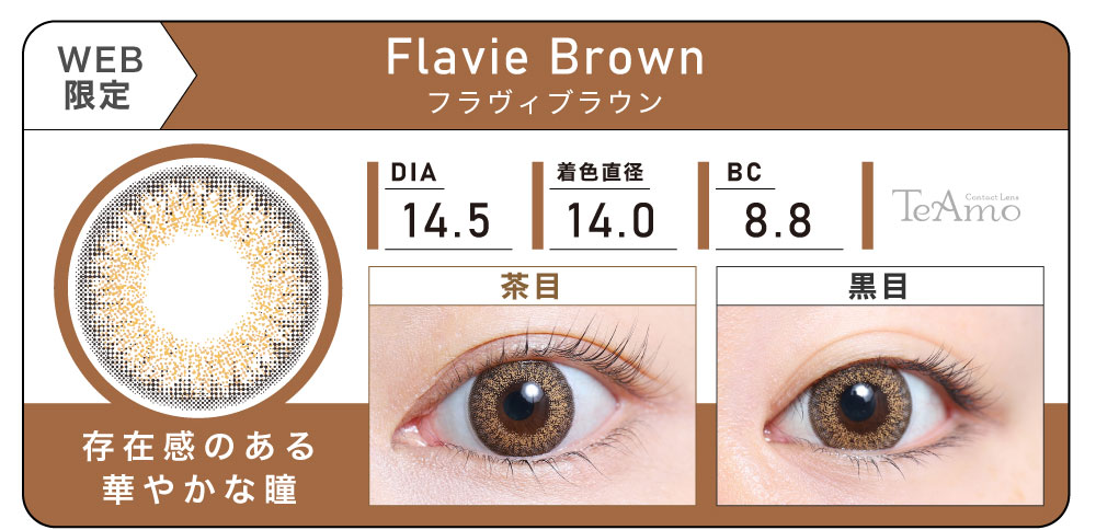 1DAY 6箱まとめ買い「Flavie Brown（フラヴィブラウン）」の紹介｜カラコン ワンデー