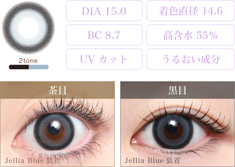 Jellia Blue 着画＆スペック