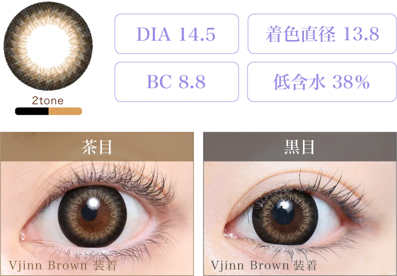 Vjinn Brown(14.5) 着画＆スペック