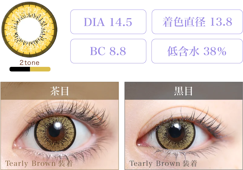 Tearly Brown 着画＆スペック