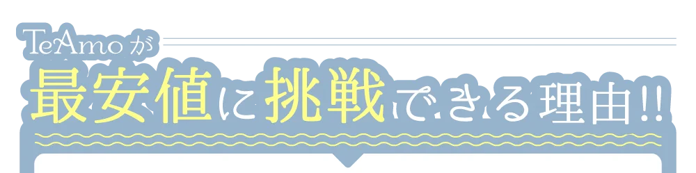 TeAmoが最安値に挑戦できる理由