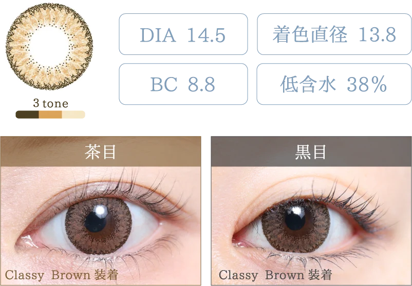 Classy Brown 着画＆スペック