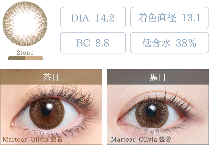 Martear Olivia 着画＆スペック