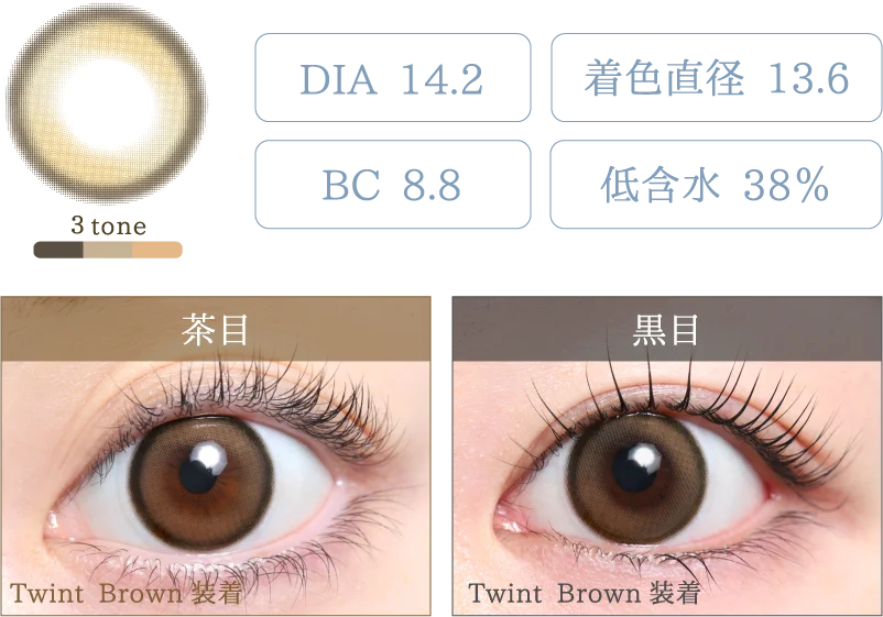 Twint Brown 着画＆スペック