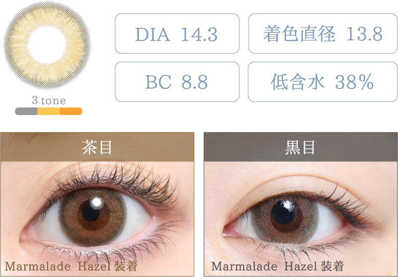 Marmalade Hazel 着画＆スペック