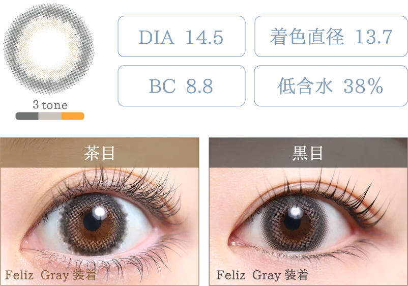 Feliz Gray 着画＆スペック