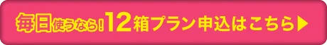 1DAY乱視用カラコン12箱定期便