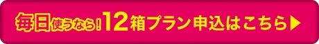1DAYカラコン12箱定期便