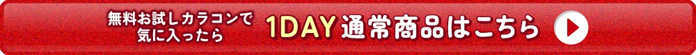 1DAY通常商品はこちら