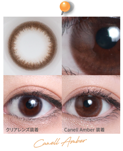 teamo_1day_canell_amber 着画