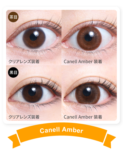 teamo_1day_canell_amber 着画