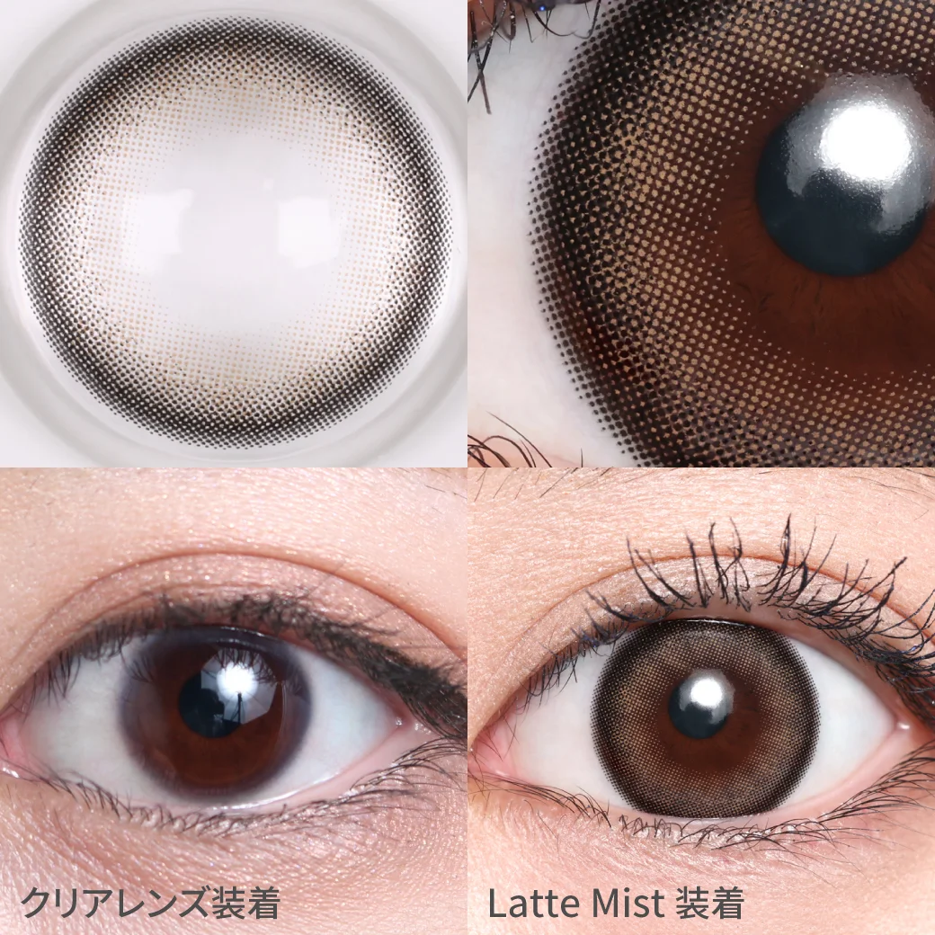 ラテミストの着画