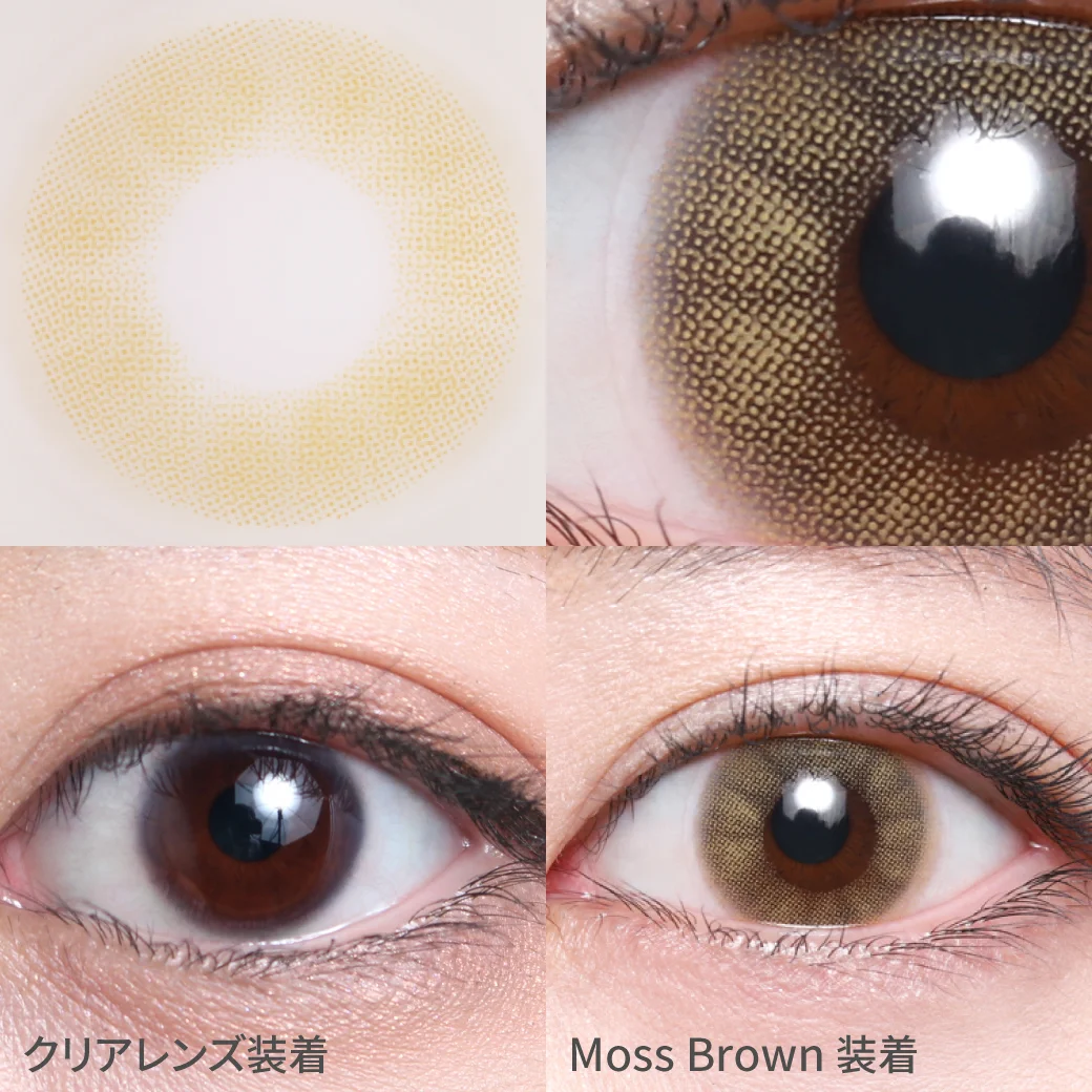 モスブラウン（1DAY）